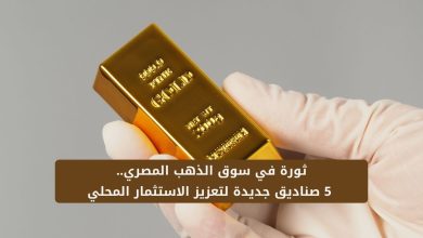 إيفولف القابضة: تطلق ثورة في سوق الذهب المصري.. 5 صناديق جديدة لتعزيز الاستثمار المحلي 6 ثورة في سوق الذهب المصري